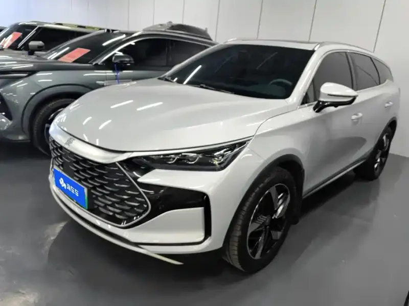 BYD Tang New Energy, 2024