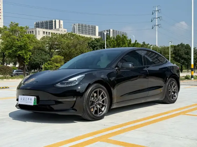 Tesla Model 3, 2019