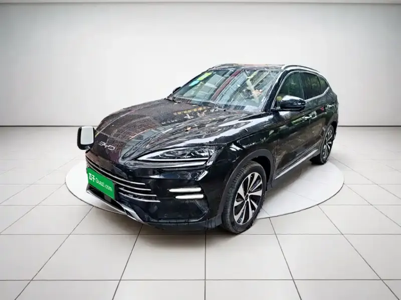 BYD PLUS New Energy, 2025