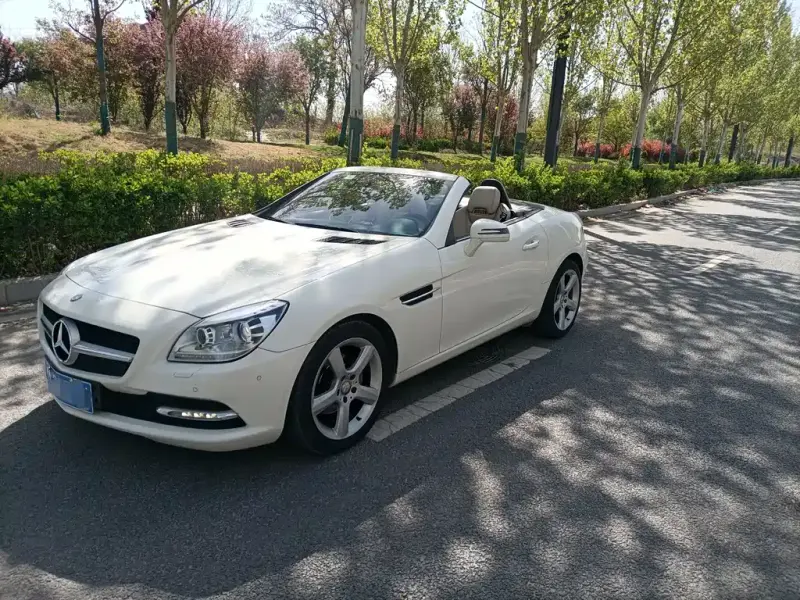Mercedes-Benz SLK-Class, 2014