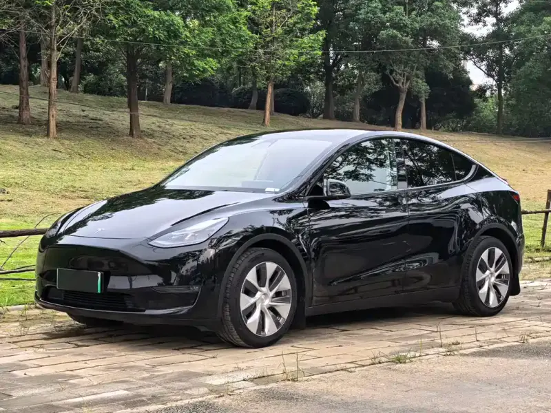 Tesla Model Y, 2021