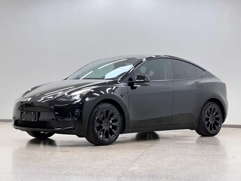 Tesla Model Y, 2021