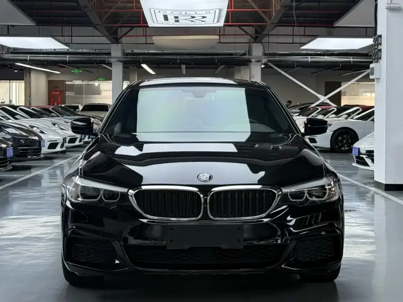 BMW 5 Series, 2020