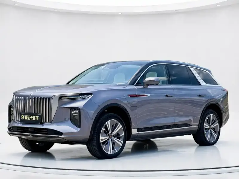 Hongqi E-HS9, 2021