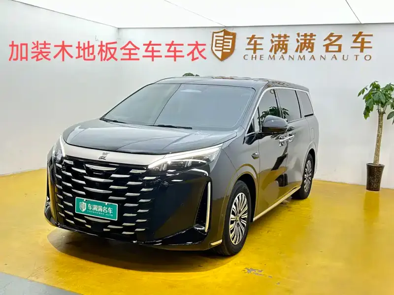 BYD Xia, 2025