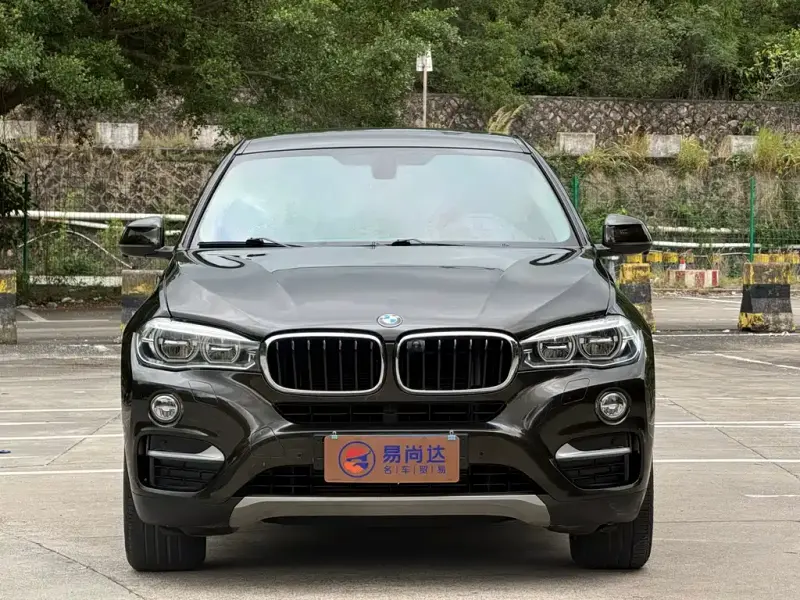 BMW X6, 2019