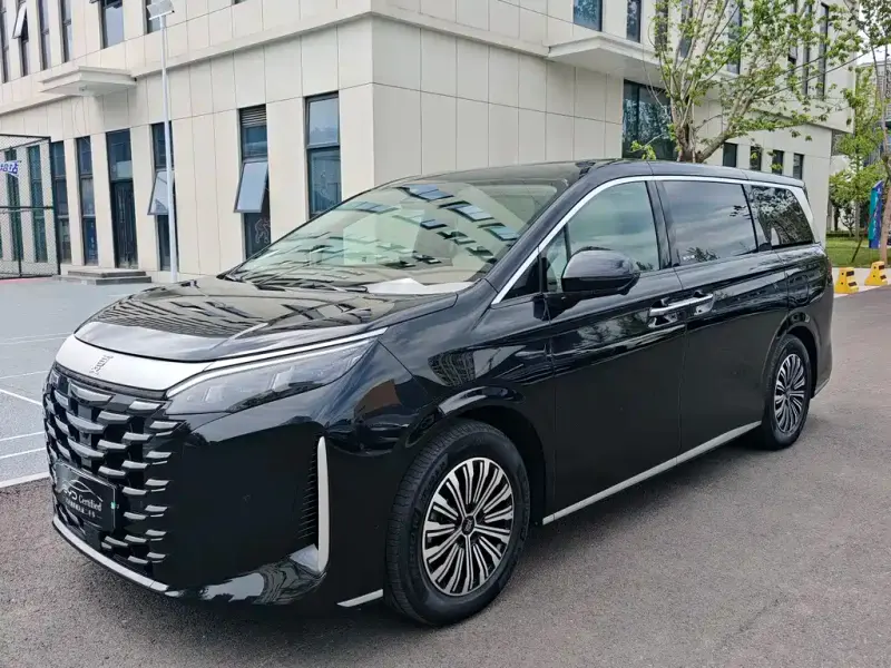 BYD Xia, 2025
