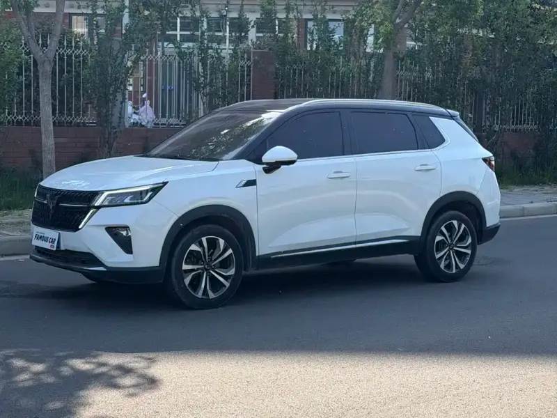 Wuling Xingchen, 2022