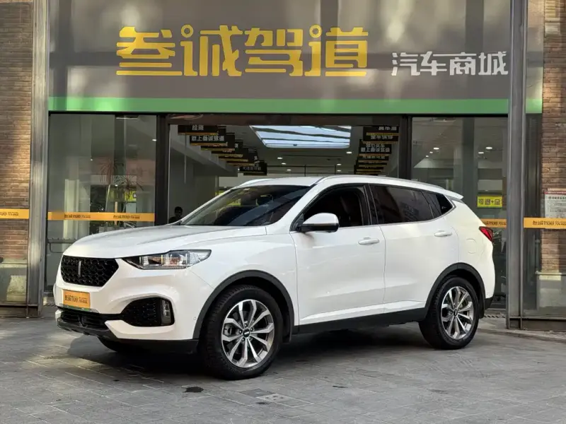 Wey VV6, 2018
