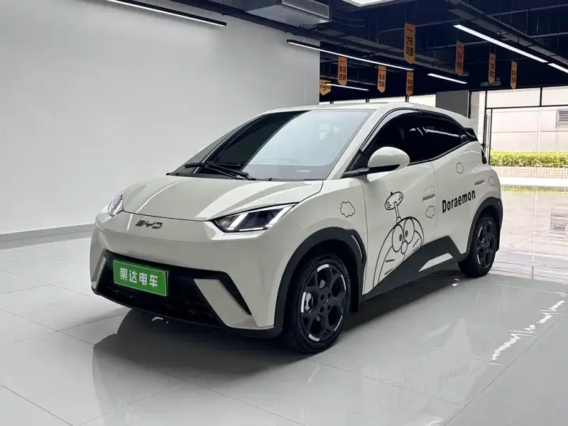 BYD Seagull, 2024