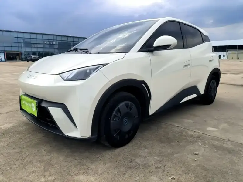 BYD Seagull, 2024
