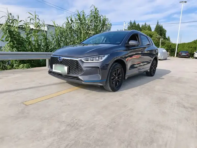BYD e2, 2021