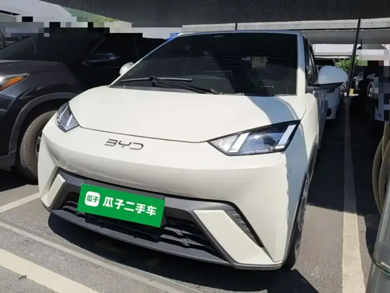 BYD Seagull, 2024
