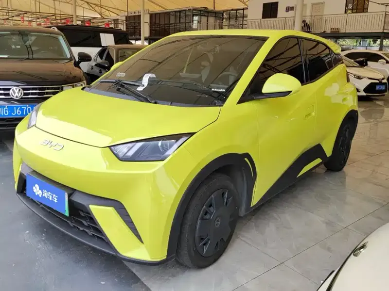 BYD Seagull, 2024