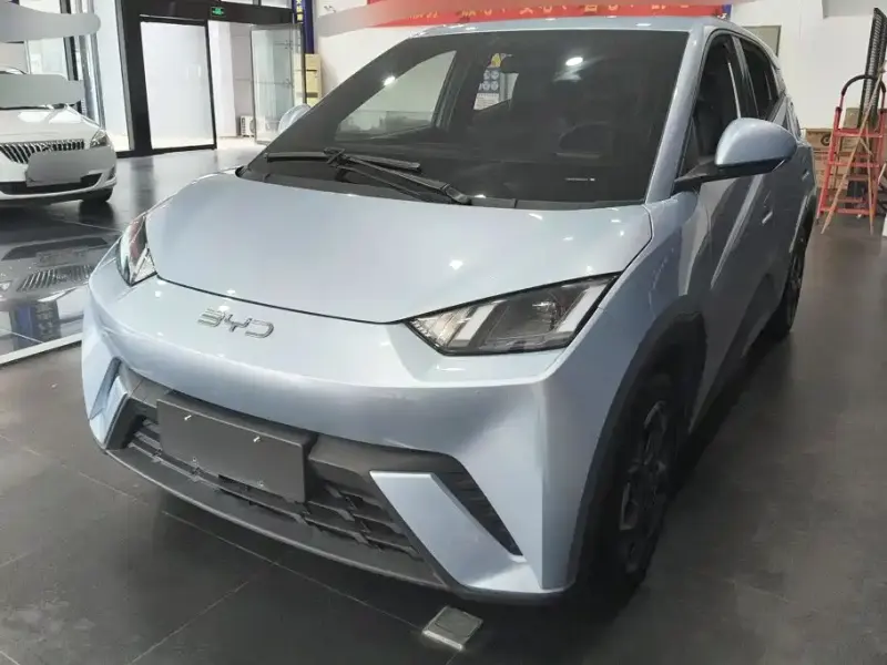 BYD Seagull, 2024