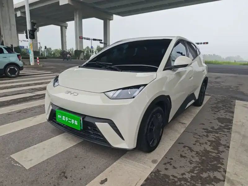 BYD Seagull, 2025