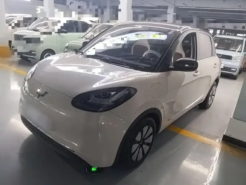 Wuling Bingo, 2024