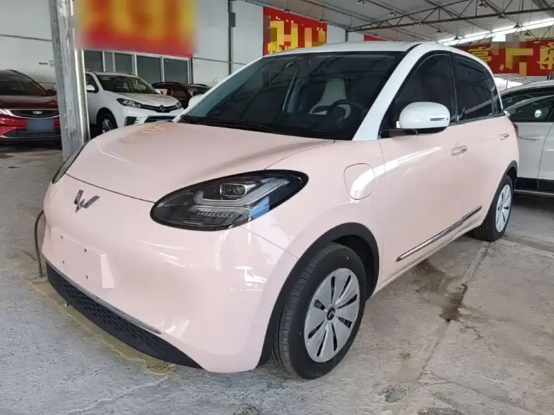 Wuling Bingo, 2024