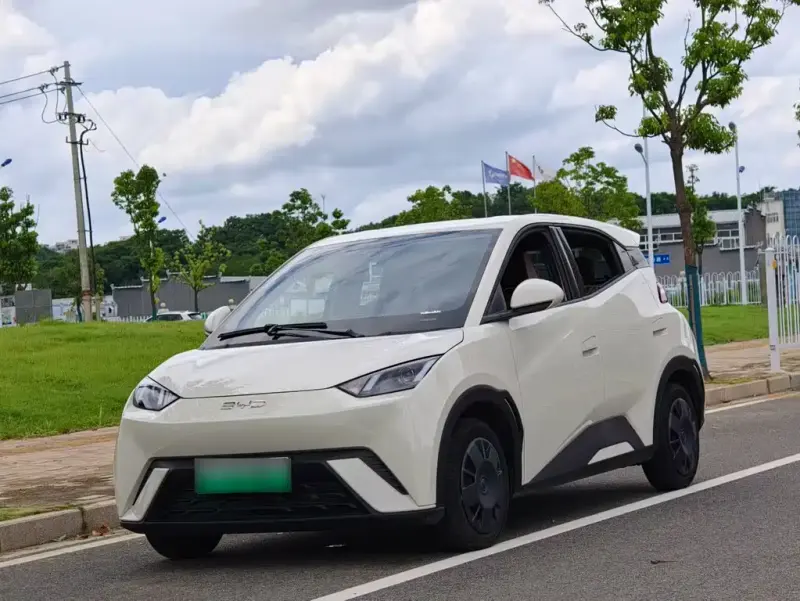BYD Seagull, 2024