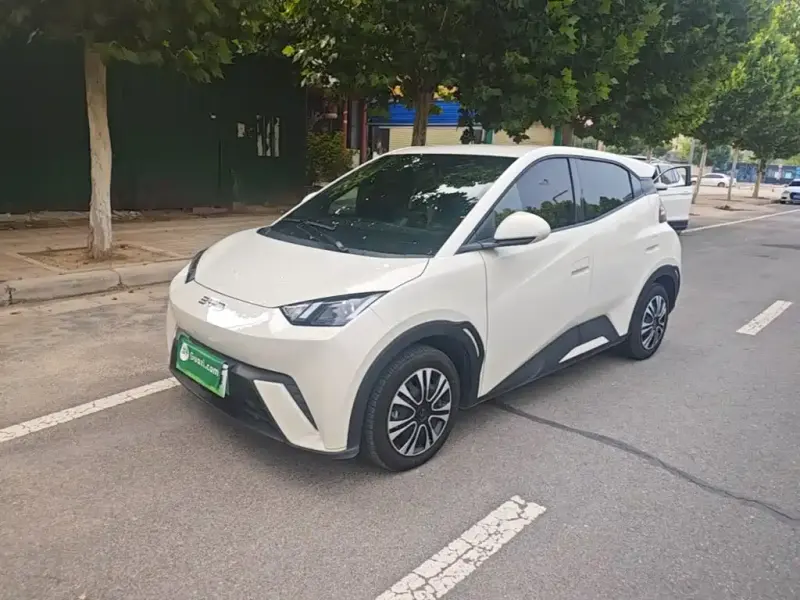 BYD Seagull, 2025