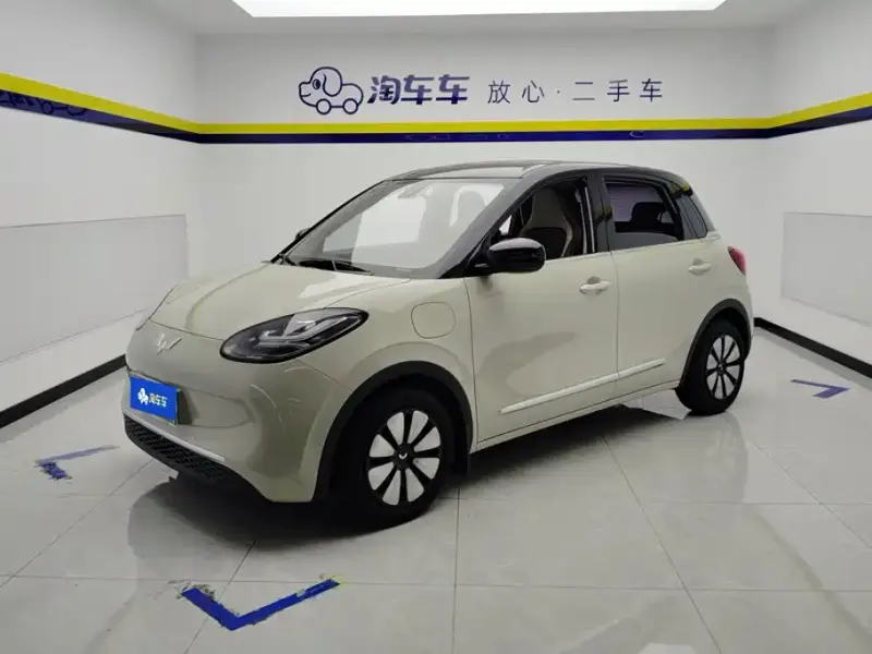 Wuling Bingo, 2024