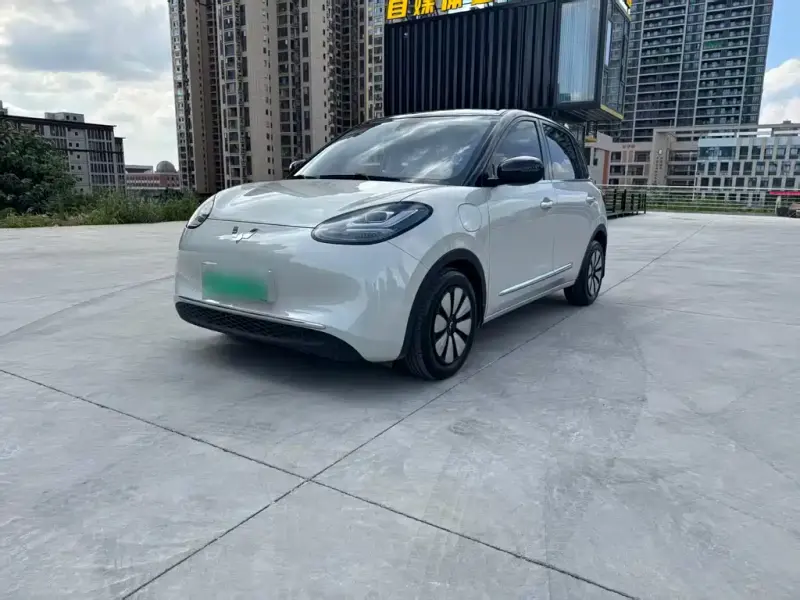 Wuling Bingo, 2024