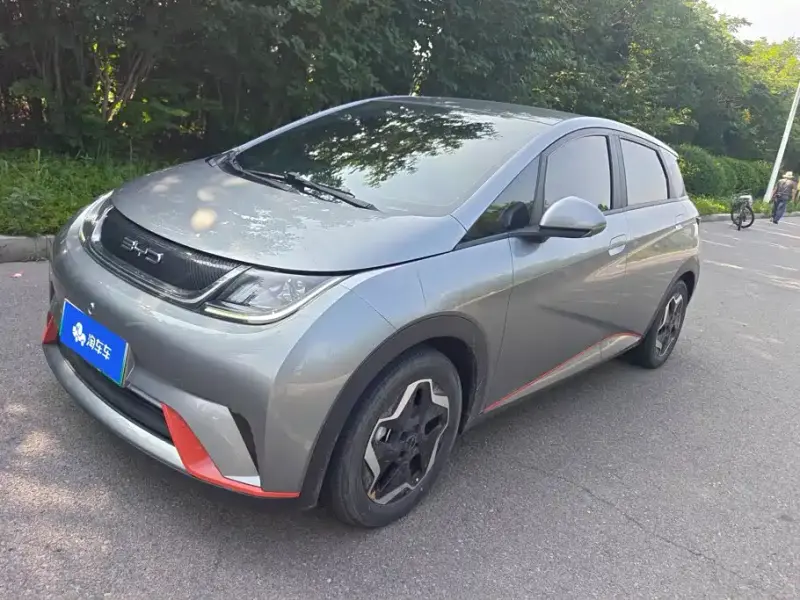 BYD Dolphin, 2022