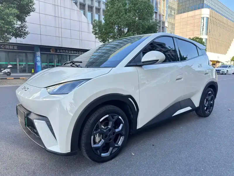 BYD Seagull, 2025