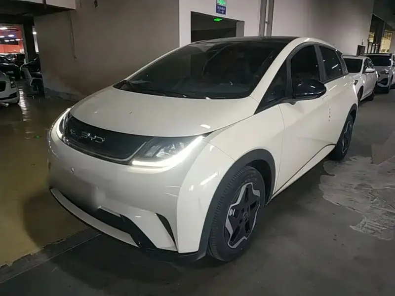 BYD Dolphin, 2023