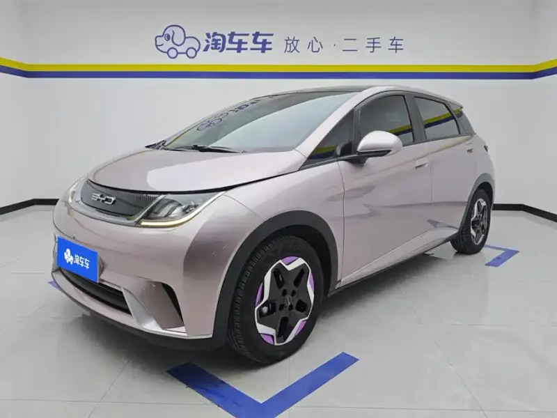 BYD Dolphin, 2022