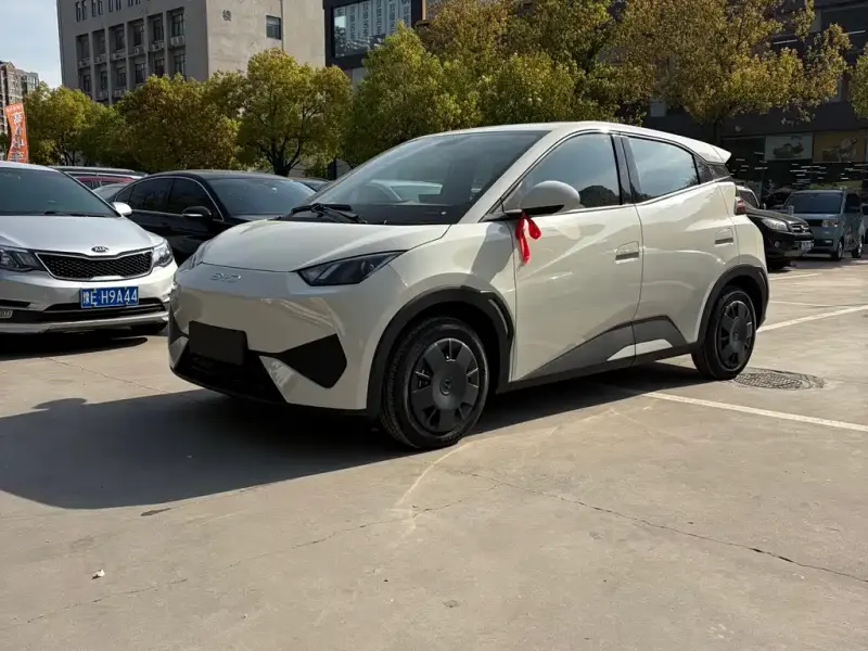 BYD Seagull, 2026