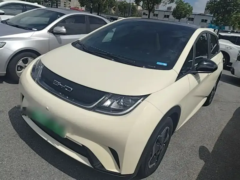 BYD Dolphin, 2022