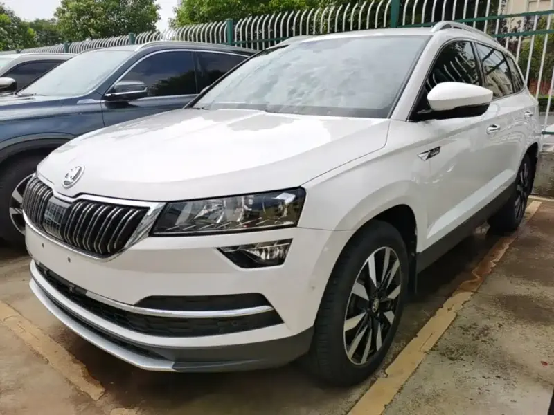 Skoda Karoq, 2021