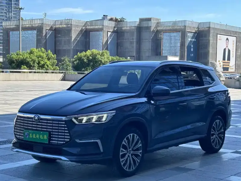 BYD Pro New Energy, 2020