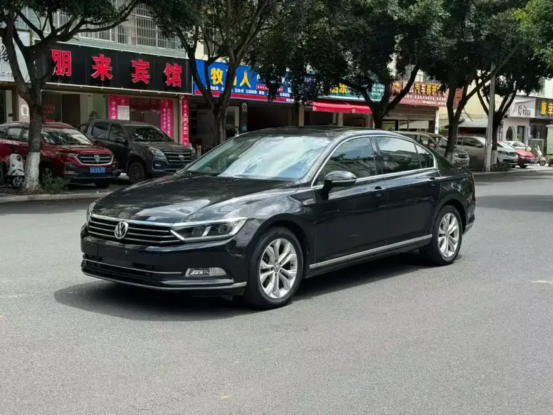 Volkswagen Magotan, 2019