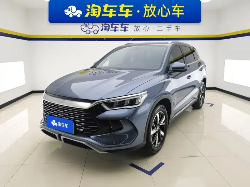 BYD Pro New Energy, 2024