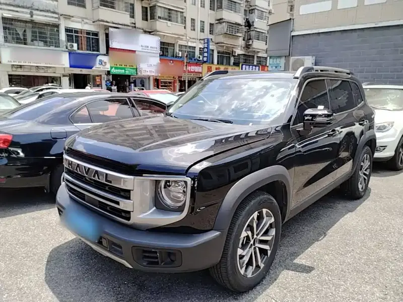 Haval Big Dog, 2024