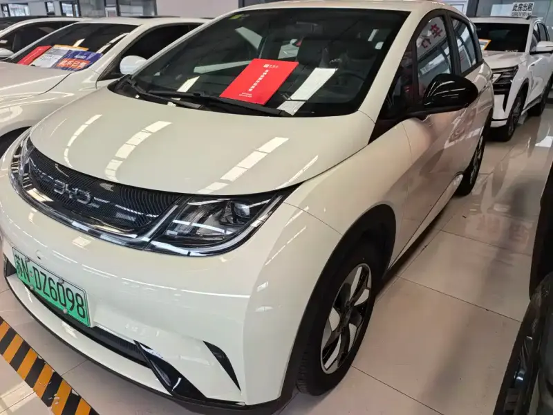 BYD Dolphin, 2026