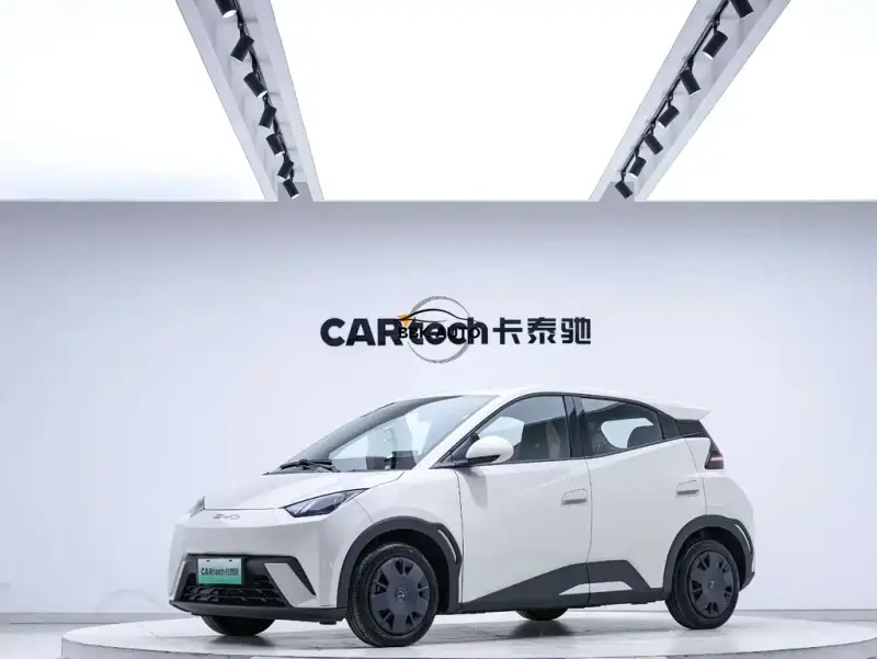 BYD Seagull, 2023
