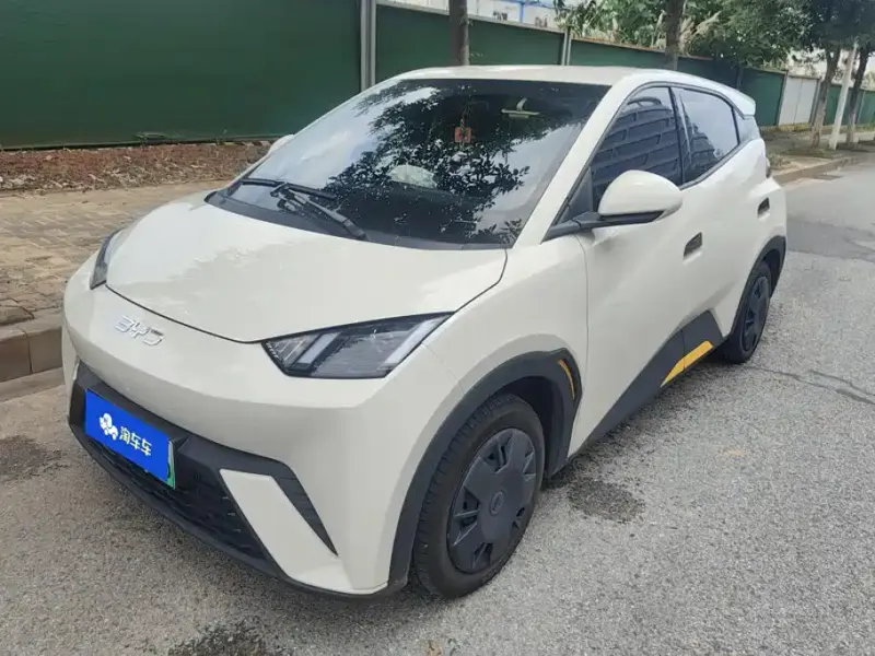 BYD Seagull, 2025