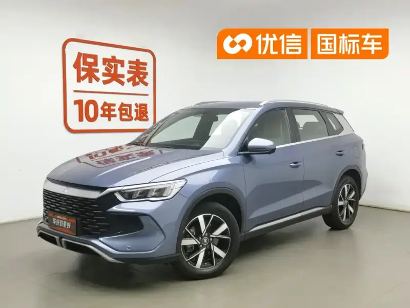BYD Pro New Energy, 2024