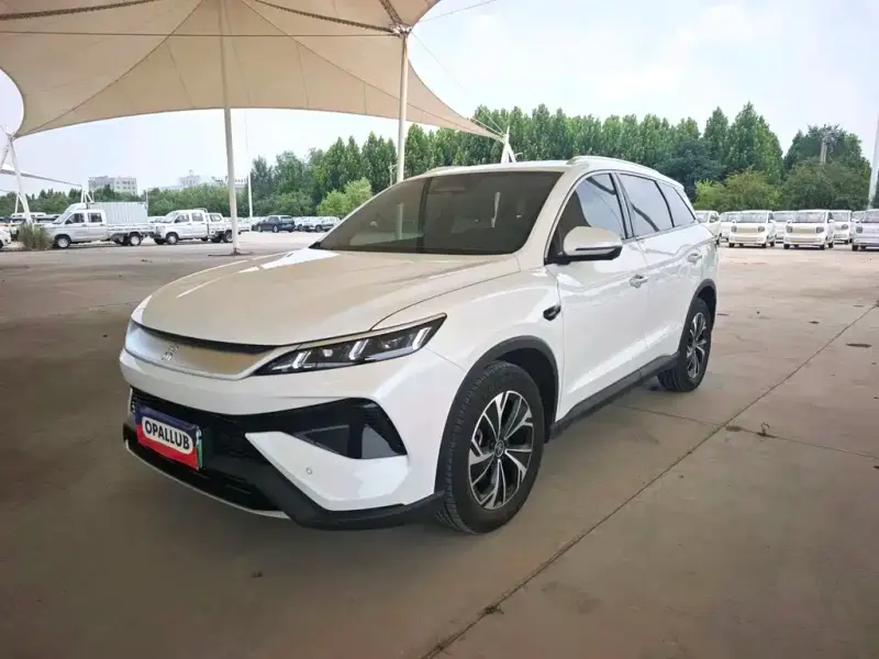 BYD Pro New Energy, 2025
