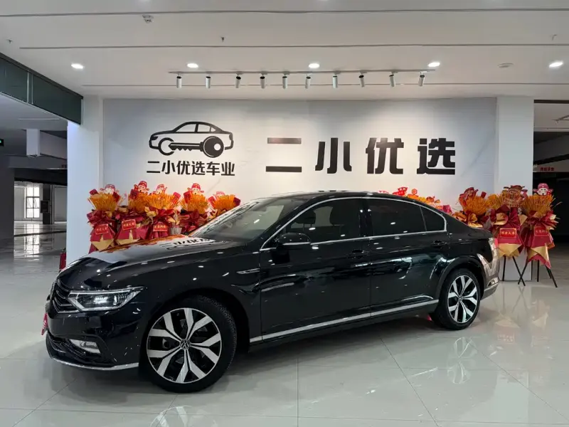 Volkswagen Magotan, 2020
