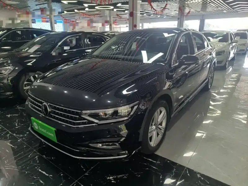 Volkswagen Magotan, 2024