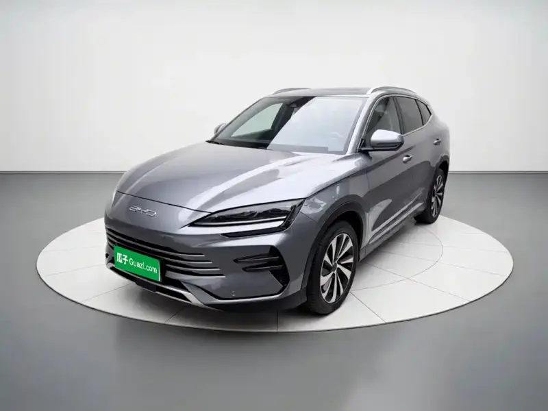 BYD PLUS New Energy, 2024