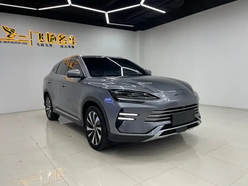 BYD PLUS New Energy, 2024