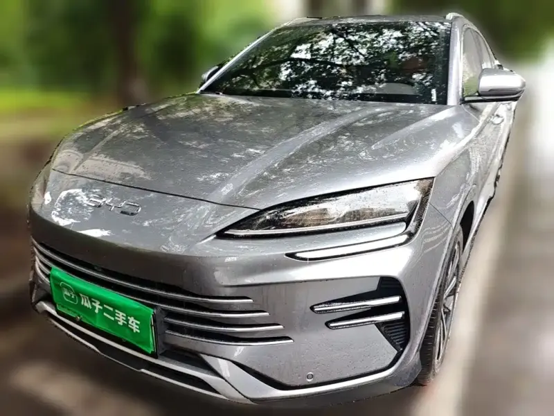 BYD PLUS New Energy, 2025