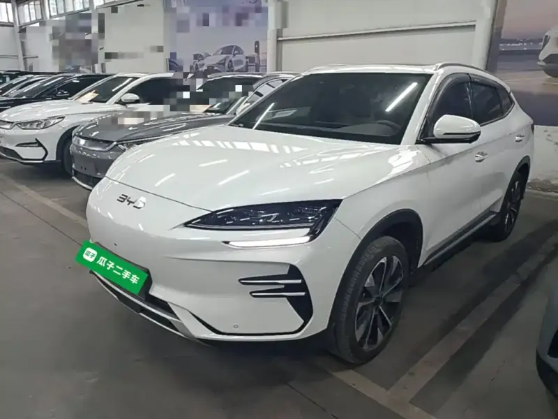 BYD PLUS New Energy, 2024