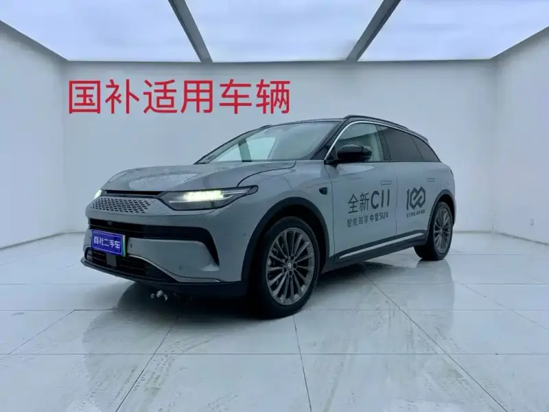 Leapmotor C11, 2024
