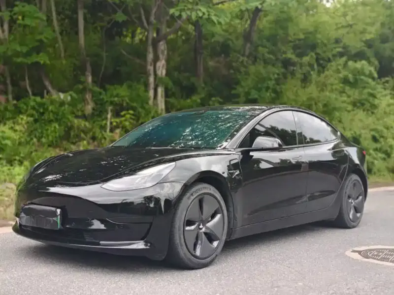 Tesla Model 3, 2021